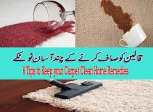 6 Tips to Keep your Carpet Clean Home Remedies