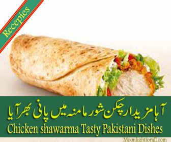 Chicken shawarma Tasty Pakistani Dishes