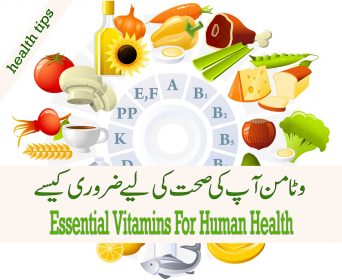 Essential Vitamins For Human Health