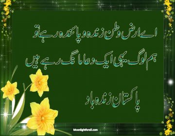 National Poetry Of Pakistan For Facebook