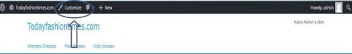 How to Customarize Theme  in WordPress Screenshots