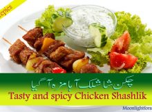 Chicken Shashlik Chinese Recepie
