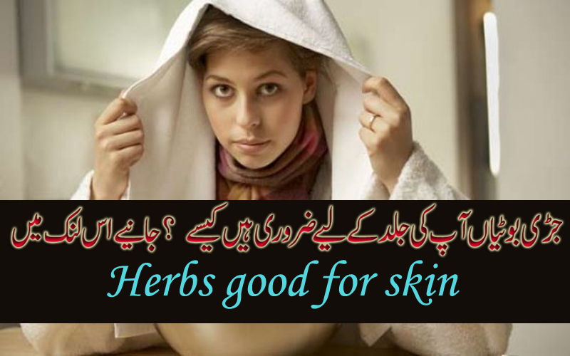 Herbs good for skin 