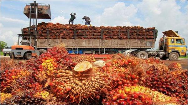 Also see this news that Malaysian Palm Oil reached to the higher levels of 6 months