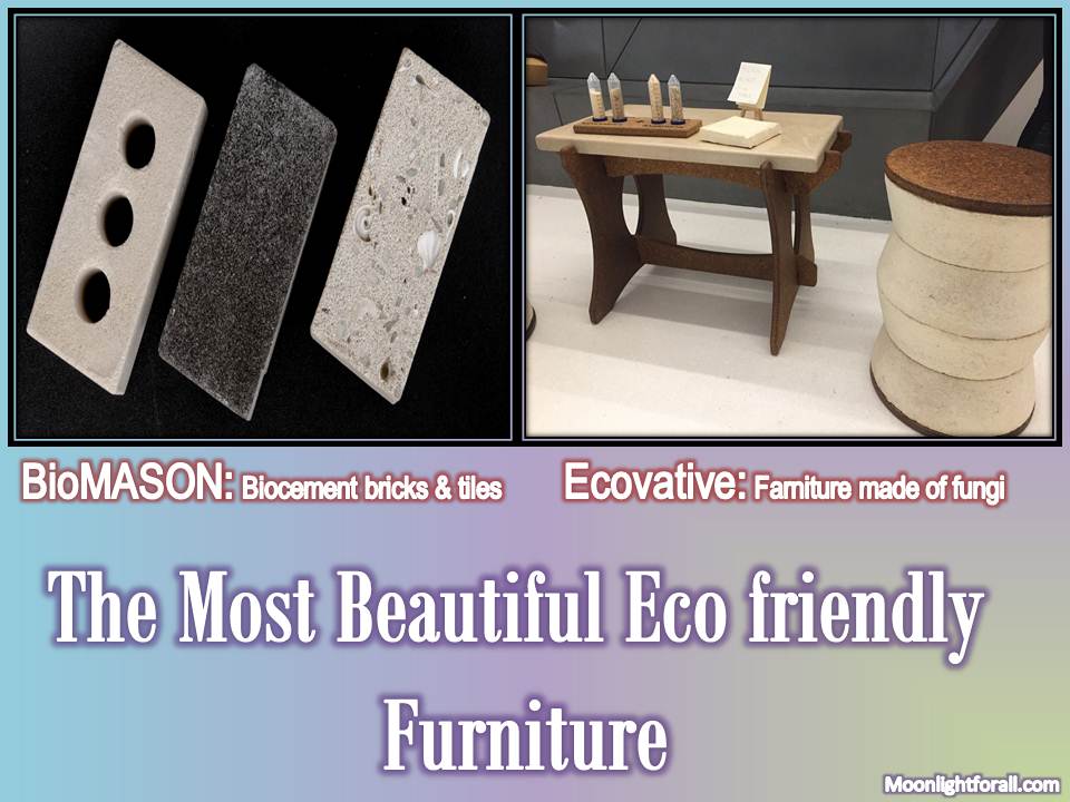 The Most Beautiful Eco friendly Furniture