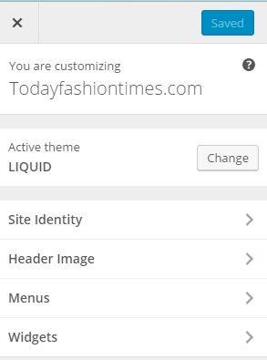 How to Customarize Theme in Wordpress Screenshots